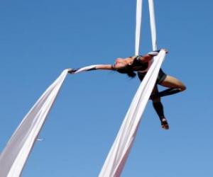 Acrobats puzzle