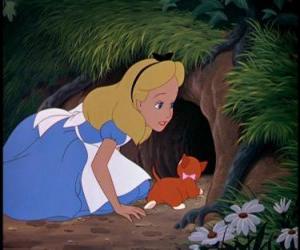 Alice and her cat are Diana and reach the Land of Wonders puzzle