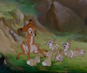 Bambi jaunt to Tambor and his brothers puzzle