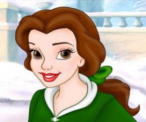 Belle puzzle