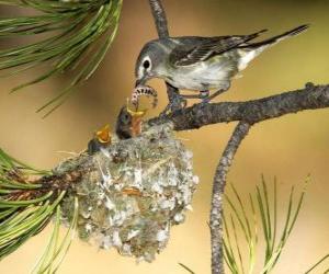 Bird with a worm for the chicks puzzle