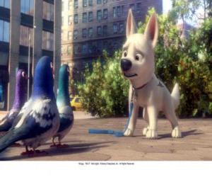 Bolt in New York speaking with the pigeons in the park puzzle
