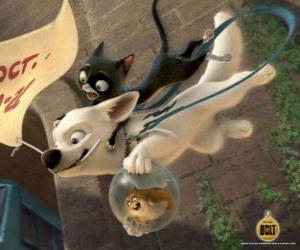 Bolt jumping with Mittens and Rhino puzzle