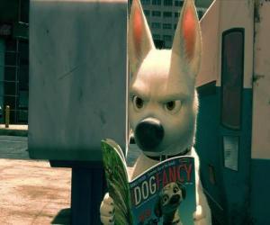 Bolt reading a magazine puzzle