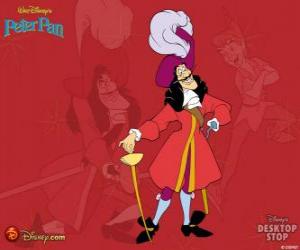 Captain Hook puzzle