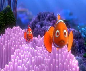 Coral and Marlin frightened by the presence of a barracuda that had hoped to eat puzzle
