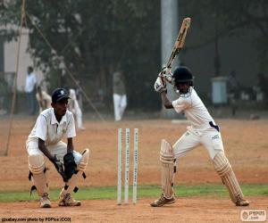 Cricket player puzzle