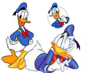 Donald Duck with his sailor shirt and cap and a bow tie puzzle