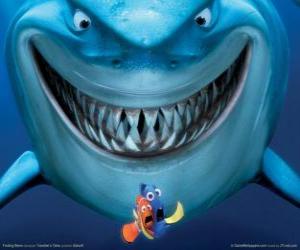 Dory and Marlin, Nemo's father, in front of a shark puzzle