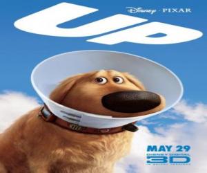 Dug, the talking dog, a golden retriever with his special collar puzzle