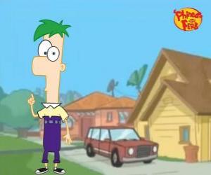 Ferb, a boy of 12 years with the green hair, intelligent and of few words puzzle
