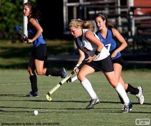 Field Hockey - Player with the stick or stick driving the ball puzzle