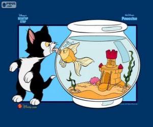 Figaro and Cleo puzzle