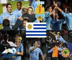 Finalist Uruguay, Copa América Argentina 2011 puzzle