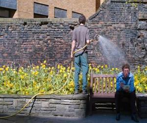 Gardener tending plants, watering puzzle