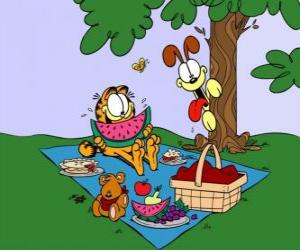 Garfield eating in the field with his friend Pookie, while the spy Odie puzzle