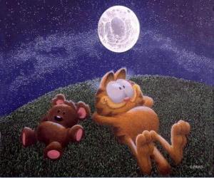 Garfield resting under the moonlight with his great friend a teddy bear Pooky puzzle