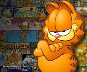 Garfield puzzle