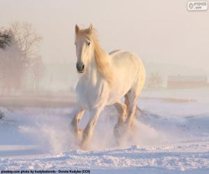 Horse racing on snow puzzle