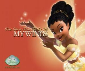 Iridessa, the fairy of light puzzle