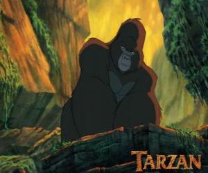 Kerchak, the dominant male puzzle