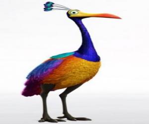 Kevin, a large flightless tropical bird puzzle