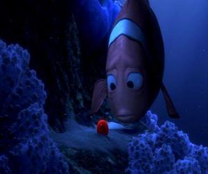 Marlin sees the only son left behind him a barracuda attack where Coral attempt to protect their young, die trying puzzle