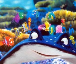 Nemo and his friends from school under the protection of the teacher Mr. Ray puzzle
