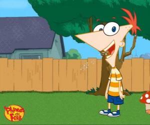 Phineas Flynn, a boy of 11 years very intelligent and Ferb's stepbrother  puzzle