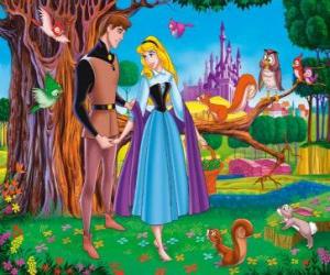 Prince Philip meets Rose singing through the woods and they fall in love while ignoring their identities puzzle