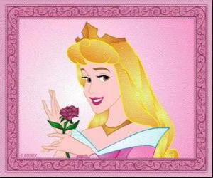 Princess Aurora puzzle