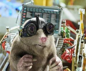 Speckles, the star-nosed mole, the specialist in computer G Force team puzzle