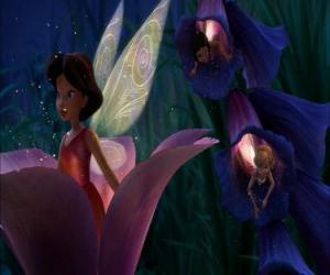 The fairies out of the flowers where they sleep puzzle