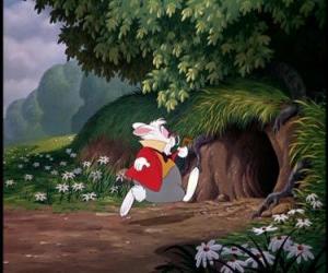 The rabbit goes into a hole puzzle