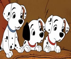 Three Dalmatian puppies puzzle