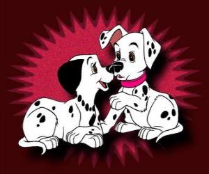 Two Dalmatian puppies playing puzzle