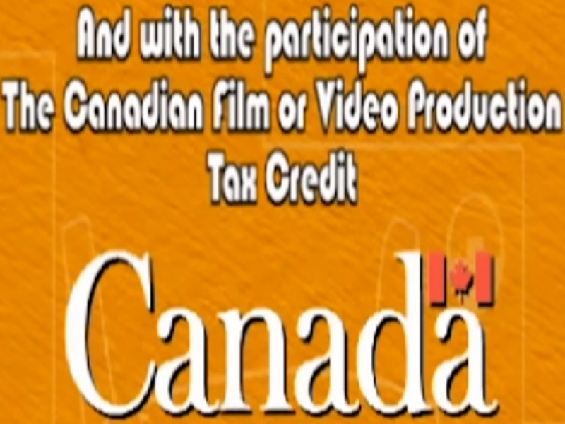 participation canadian film video production tax credit puzzle