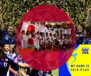 2011 FIFA Fair Play Award for the Japan Football Association puzzle