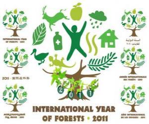 2011 International Year of Forests puzzle