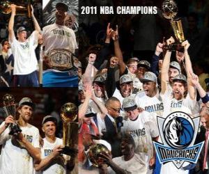 2011 NBA Champions Dallas Mavericks puzzle