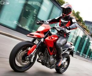 2013 Ducati Hypermotard 1100EVO puzzle