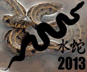 2013, the year of the Water Snake. According to the Chinese calendar, from the February 10, 2013 to 30 January 2014 puzzle