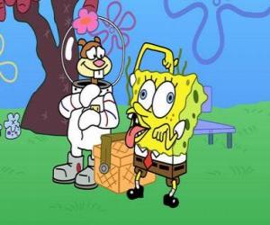 SpongeBob with Sandy puzzle