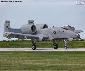 A-10A Thunderbolt II puzzle