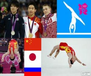 A. gymnastics men's floor London 2012 puzzle