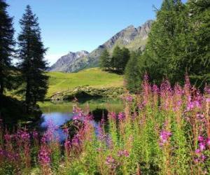 A lake in the foreground flowers and high mountain office puzzle