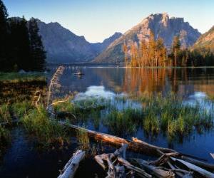 A lake with floating logs in the foreground and high Mountains are puzzle