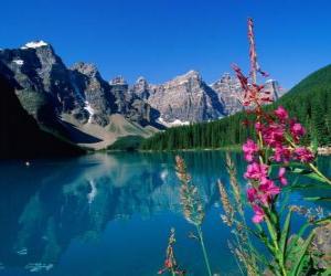 A lake with vegetation and high mountain office puzzle