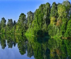 A river with the reflection of trees in the water puzzle