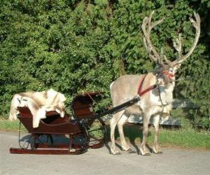 A Santa Claus's reindeer pulling a sleigh puzzle